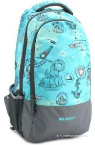 Wildcraft 17 inch Laptop Backpack(Turquoise)